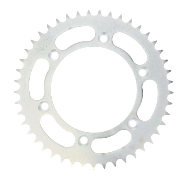 Pignon arrière Wolftech