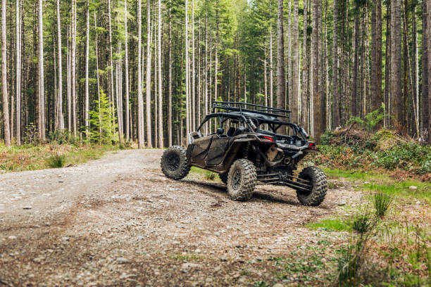 What To Do When Your UTV Won’t Start