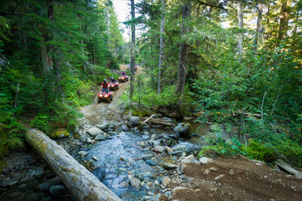 Best UTV Trails in Alberta
