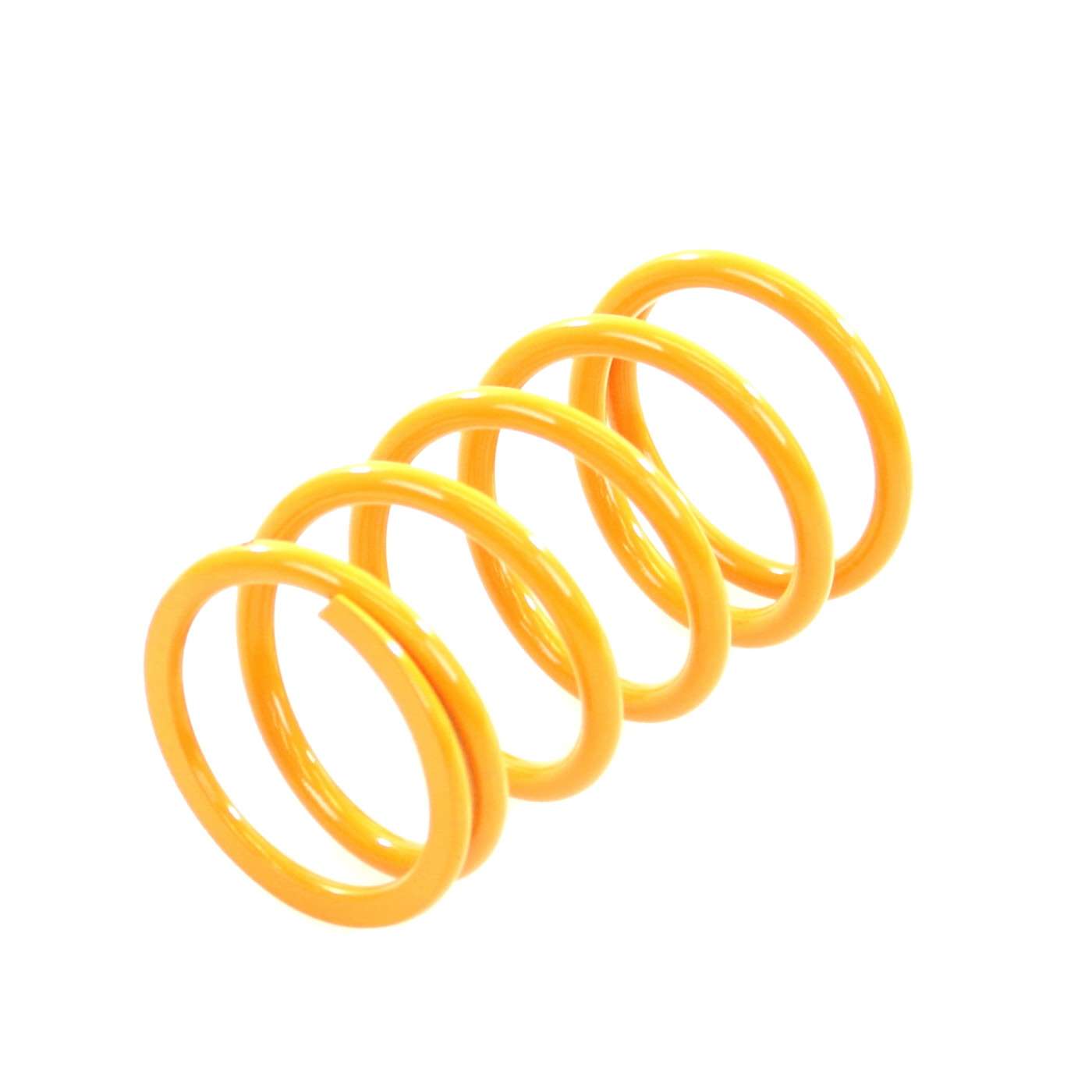 EPI Performance Primary Clutch Spring