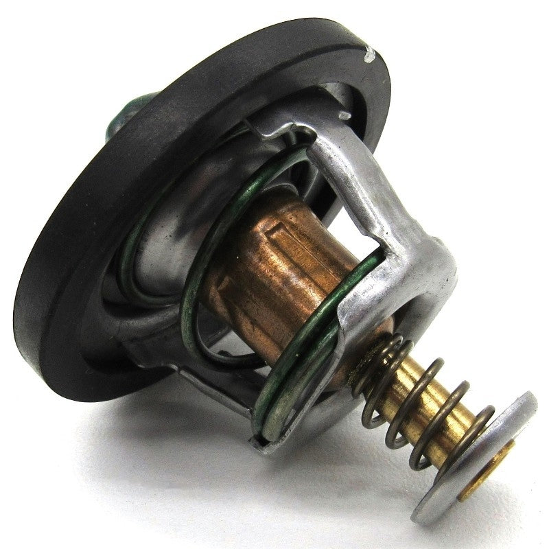 Arctic Cat Thermostat