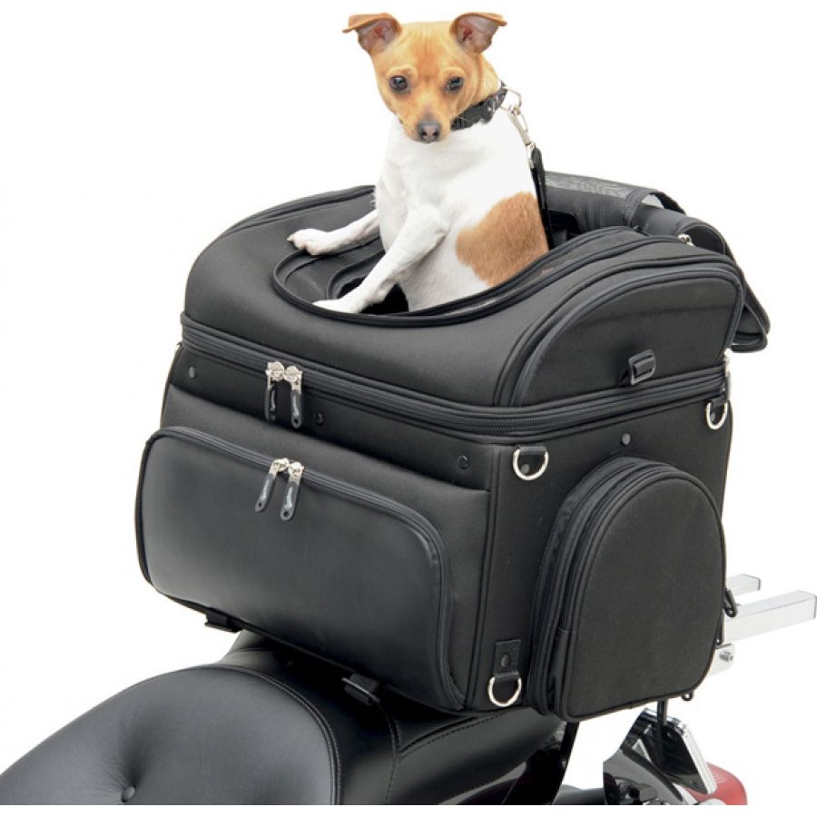 Sacoche de moto Saddlemen PC3200C Pet Voyager