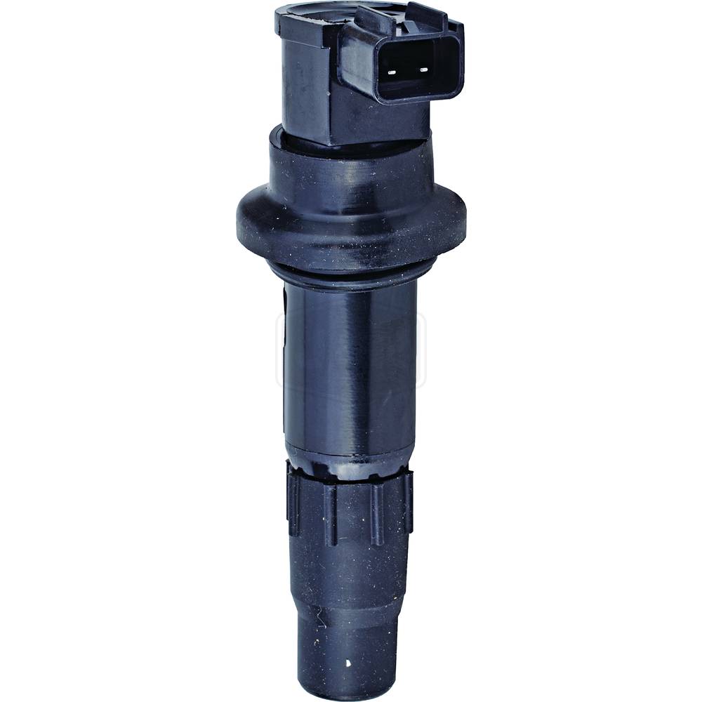 Arrowhead Ignition Coil