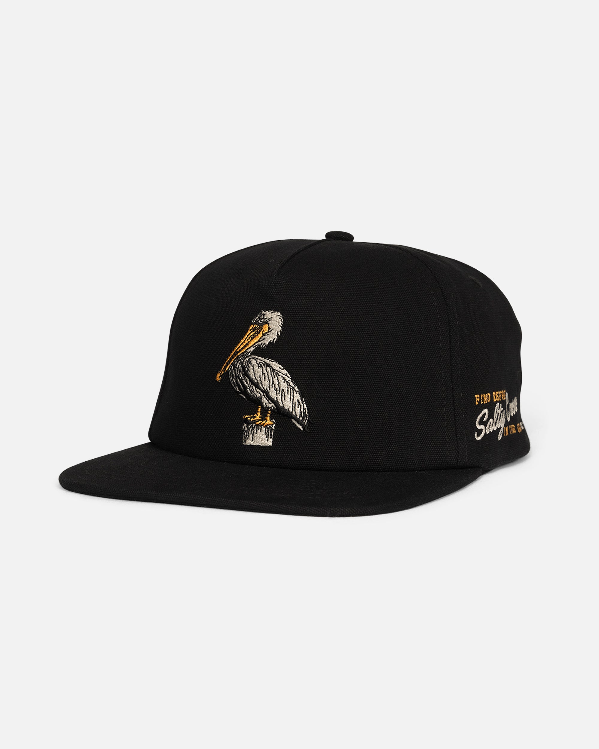 Salty Crew Coastal Snapback Hat