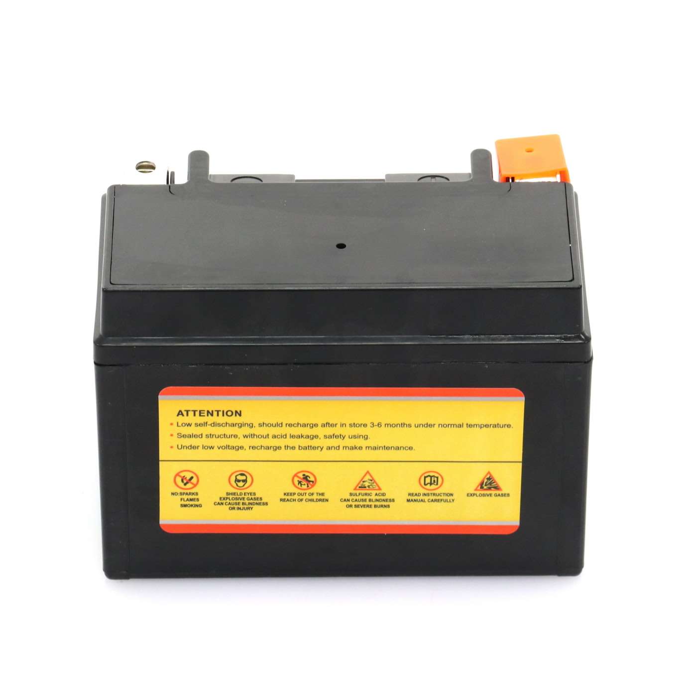 Wolftech Maintenance Free Battery