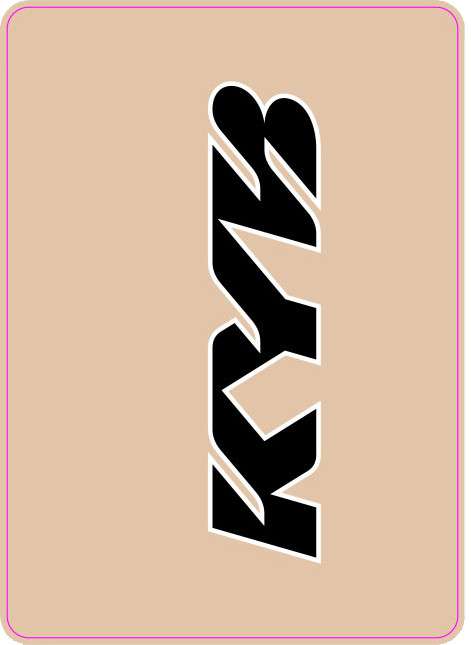 D&#39;COR Visuals KYB Upper Fork Decal