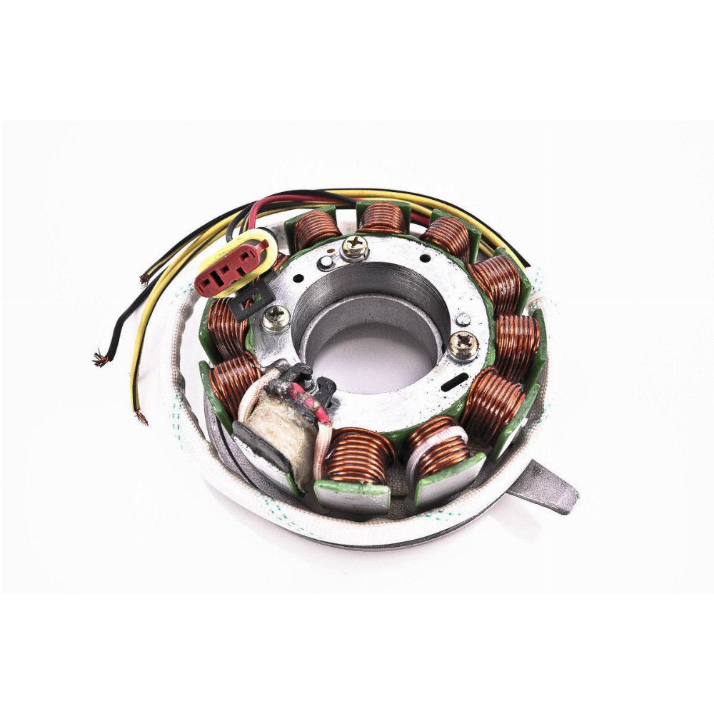 Rick's Motorsport Electrics Stator