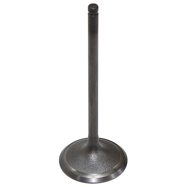 Bronco Intake Valve