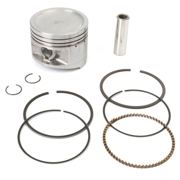 Shindy Replacement Piston Kit