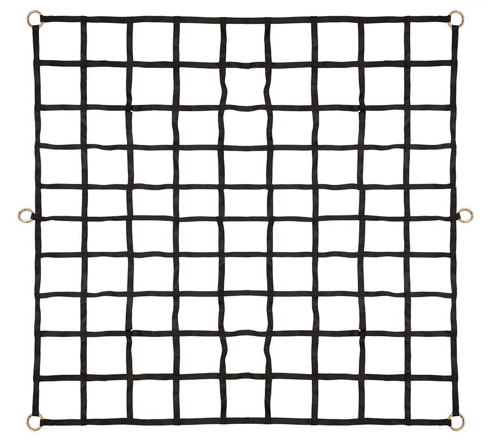 Erickson Cargo Net, 66&quot;x85&quot;