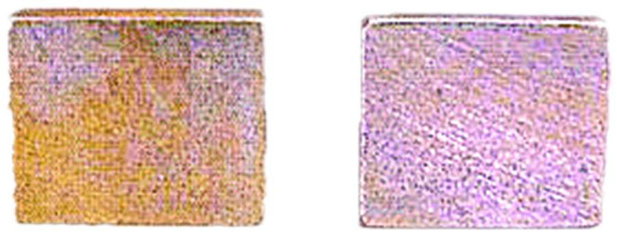 Jeu de plaquettes de frein entièrement métalliques Wolftech