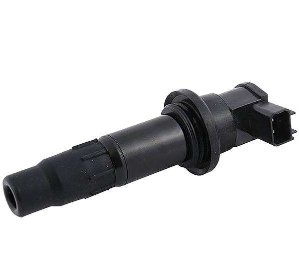 Arrowhead Ignition Coil