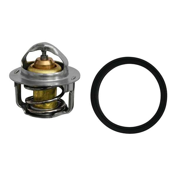 All Balls Thermostat for Polaris