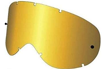 Dragon Alliance Double Lens for MDX Snow Goggle