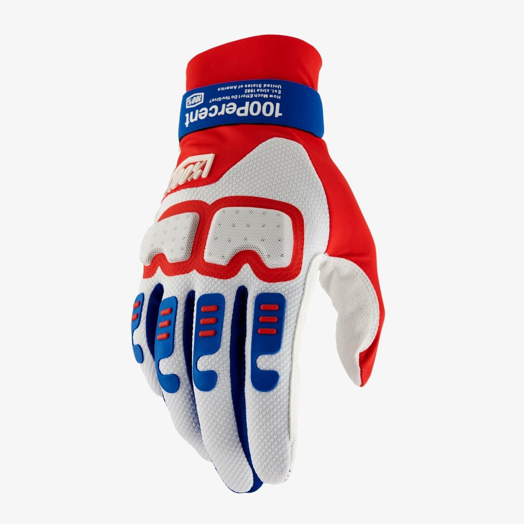 100% Langdale Glove